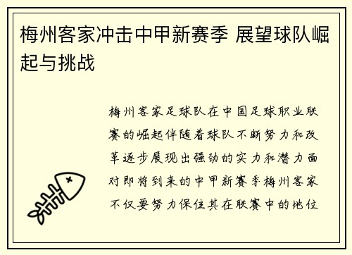 梅州客家冲击中甲新赛季 展望球队崛起与挑战